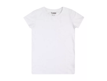 ���� 96 �������� �� ���� ���������� �������� � ��������� ��������.