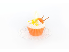 ����� �������� ������ ������ ORANGE d8 h6 �� - 100 �.