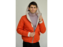 ������ 8226� �������: №8226� ������: 100% ���������