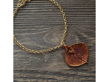 ������� "���� �����" ����, ���������.