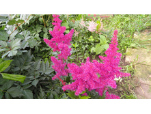 ��������.