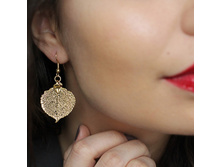 ��. ���� ����