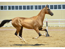 76 1433690741.0298.jpg