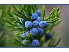 ������� ����� ������������ 33+%. � ������� 2 ��.jpg