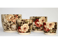 115BZ �������