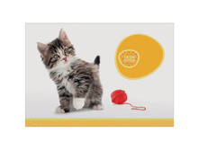 ������ ��� ��������� 08�. �4 �� ������� ������. ������ �� �������, ���� 100 �-�2, ���. ����� 9,24.jpg