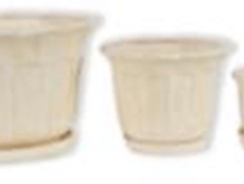 ����� ������� ������� �����