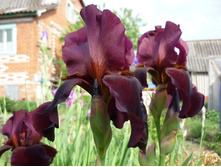 ���� �������� ������� 70�