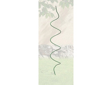 ����� ������� �����