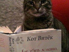 ��� ��ԣ�. ��� ����� ������� ���� �� ����.