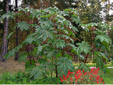 ��������� 6 ���..�������� 4 ��..jpg