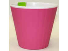 �����-�������-����� ����� ������� ������� � ��������