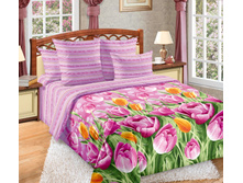 �������� 1.jpg