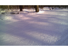 ������� �������������