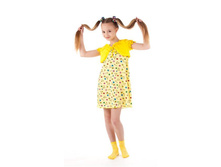 ������ ���������