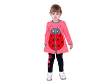 536.������� ������� ����: 	   810-00