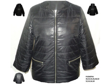 �-24 ������