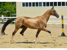 76 1433690733.6649.jpg