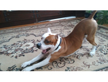 IMG 20160222 120648.jpg