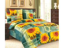 ��������� ������ -1 ���������.jpg