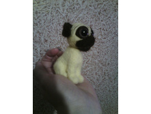 12642963 10208052308178021 2595692574267378299 n.jpg