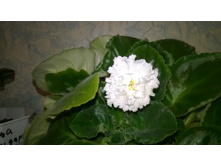 WP 20151010 20 22 11 Pro.jpg