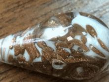 ����.gif
