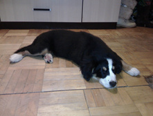 IMG 20160210 192625.jpg