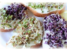 ������ � �������5.jpg