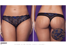 223031 �������