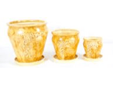 ����� ������� ���� �������