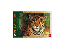 500��2 01975.jpg