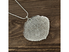 ����� "���� �����" �������, ���������. ���������.