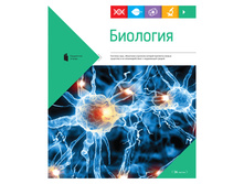 ������� ������������ 36�. ����� ������� - �������� 12,24.jpg