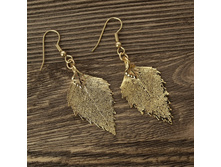 ������ "���� ������" ������, ���������.