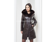 K-260 ������� ���� ����������, ������� rex