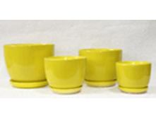 J 13 �������