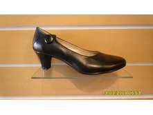 391 ���� ������