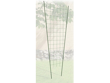 ������� �������