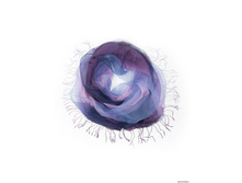 TISF362 - ���������.jpg