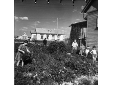 1950 ���. ������� ������ ������������������.jpg