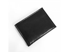 009256 big 30713 1.jpg