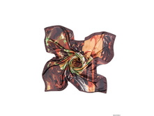 SHPA272 - ����������.jpg