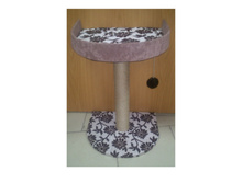 �� 445 ��� (50 ��) ���������� ���������� � �����