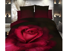 ��������� ����