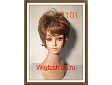 DG-7101 �������� �������.JPG