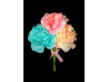 ����� ������ �-27�� ��-4267 68���..jpg