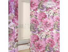 ����� ����� 78359.jpg