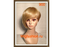 �� ���� 900 ���� �� ����� � ������� �������� (9295).JPG