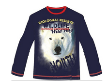 �������� ��. ���. �����. ��-4019-13 �������� �������  420+%